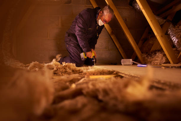 Best Insulation Repair Services  in Wenonah, NJ